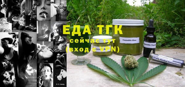 индика Аркадак