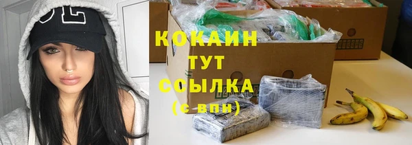 хмурый Верхний Тагил