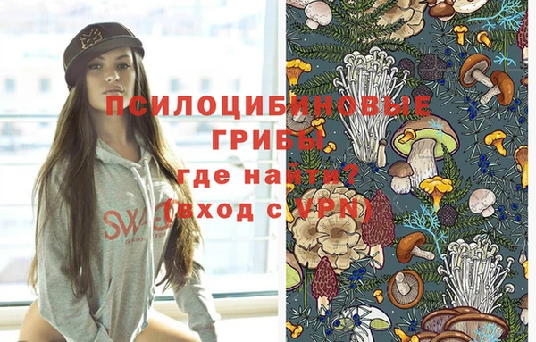 соль ск Верея