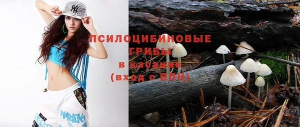хмурый Верхний Тагил